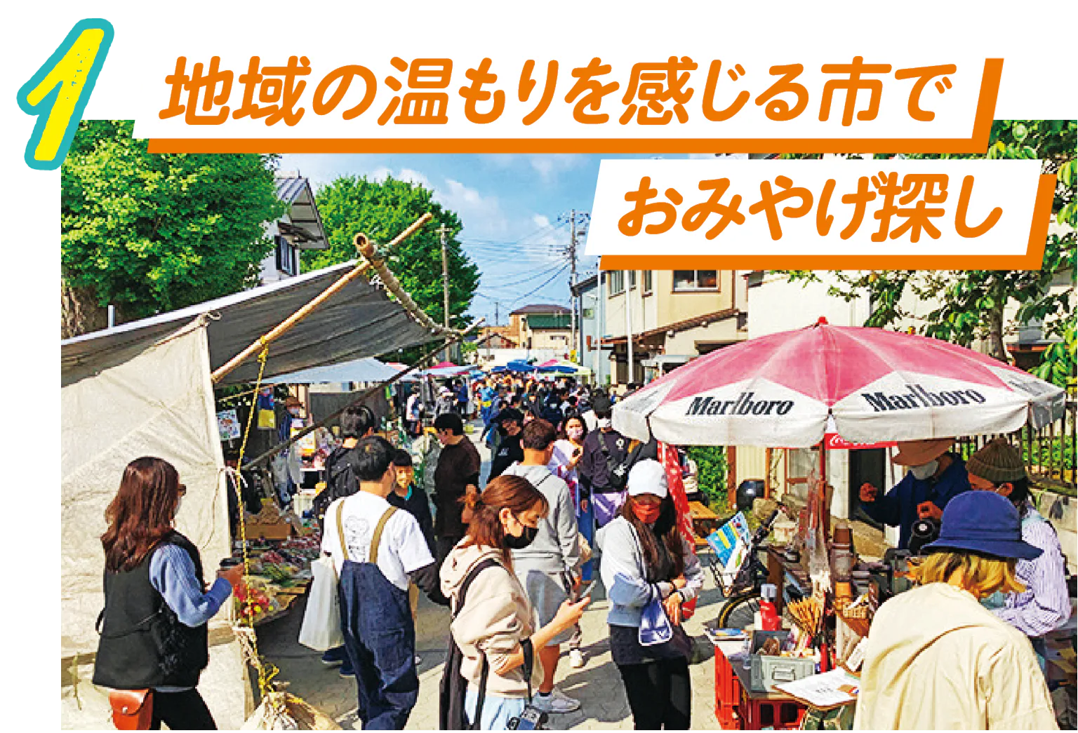 勝浦朝市の画像