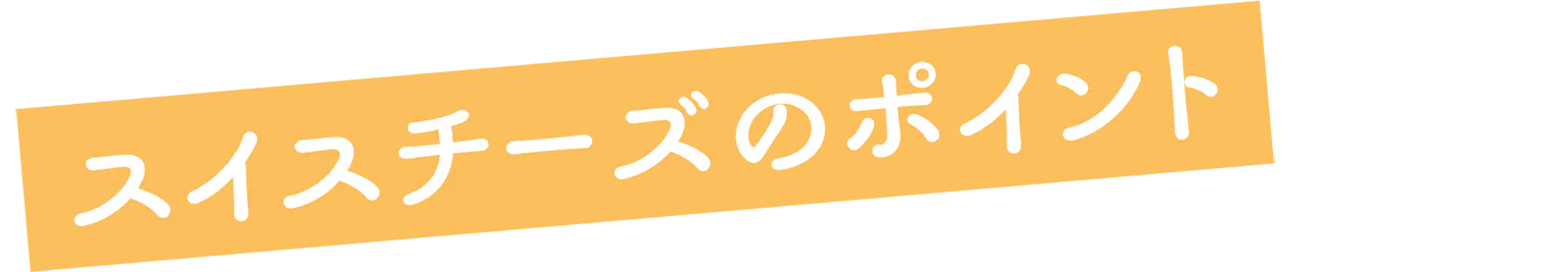 スイスチーズのポイントの見出し