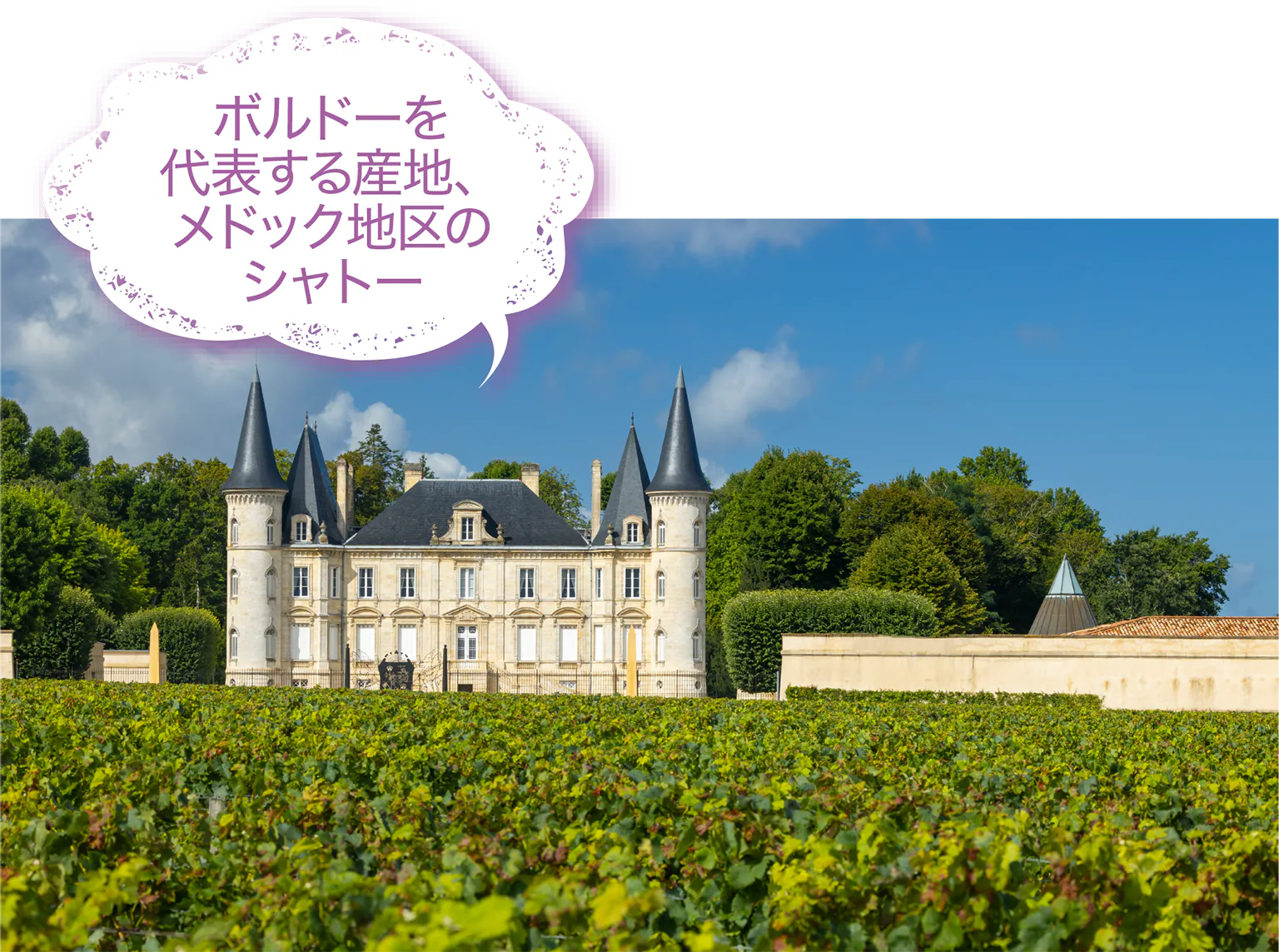 メドック地区の画像