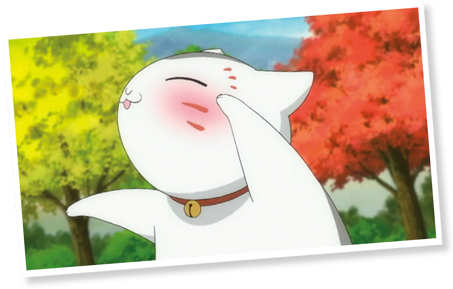 ニャンコ先生の盃も進む!? の画像