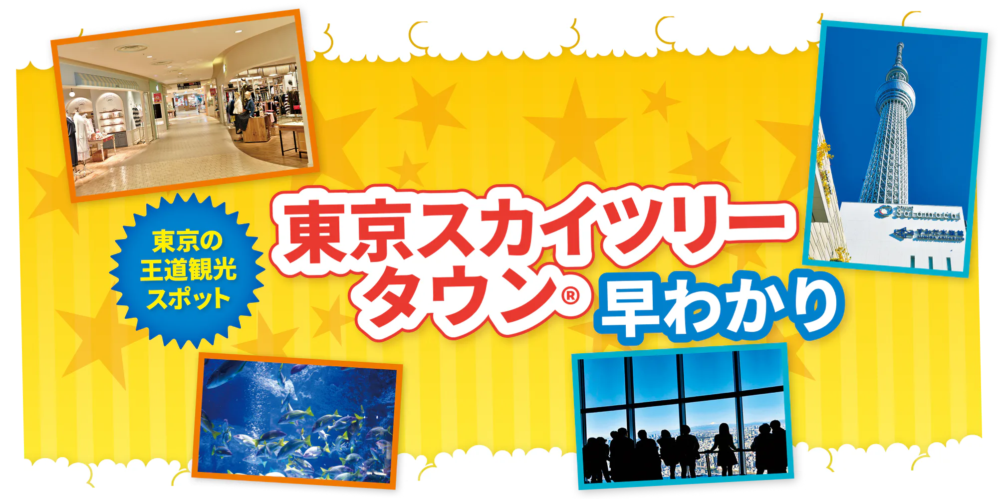東京スカイツリータウン®️｜ソラマチ、東京スカイツリー®️、すみだ水族館などをご紹介