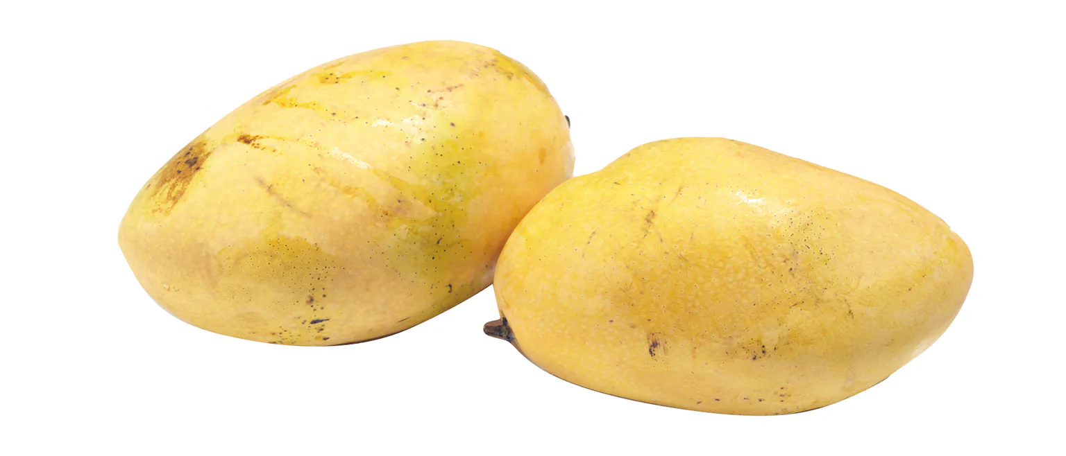 マンゴーの画像