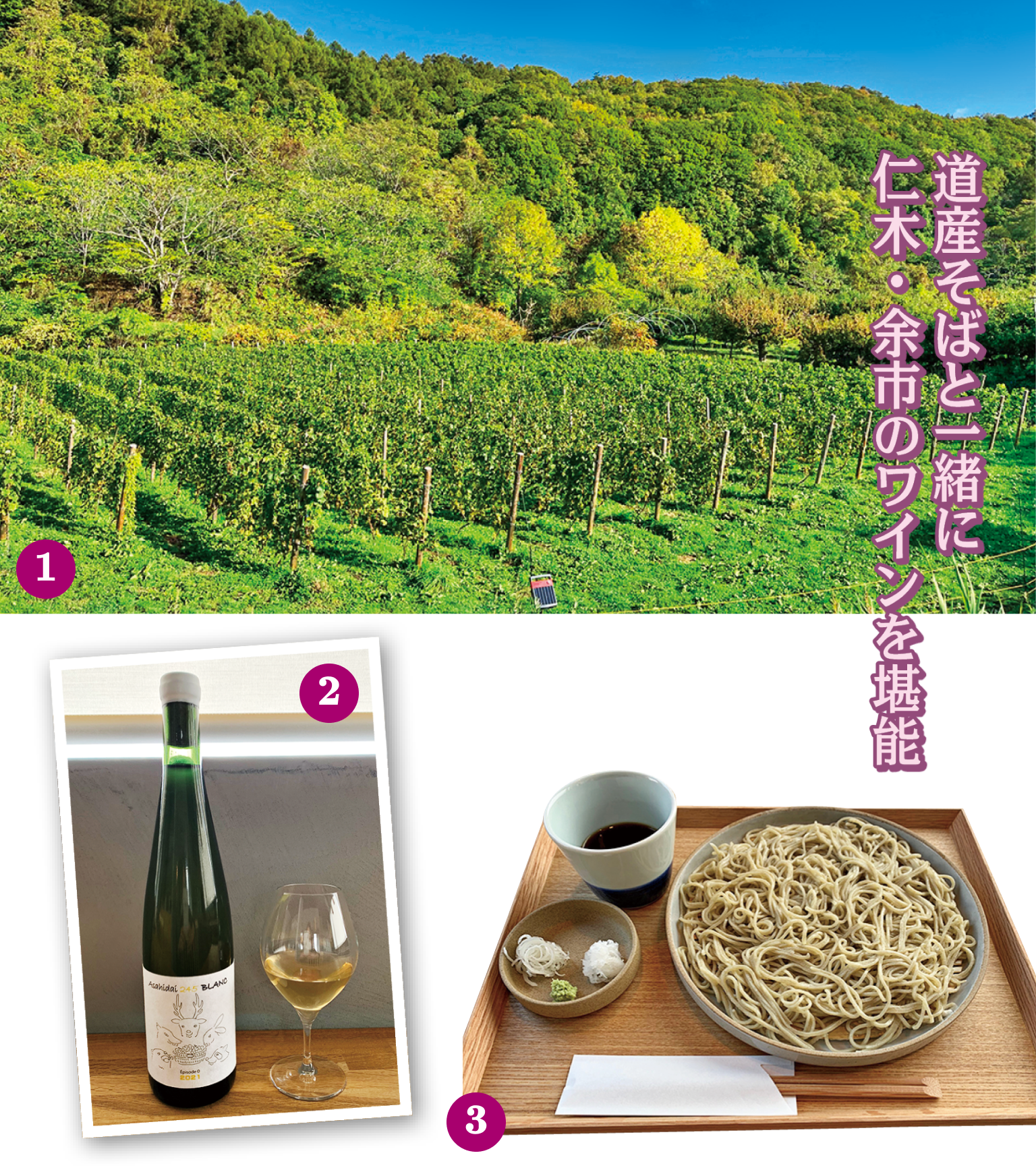 北海道】仁木・余市でワイナリー見学｜おすすめランチや飲み比べ情報も