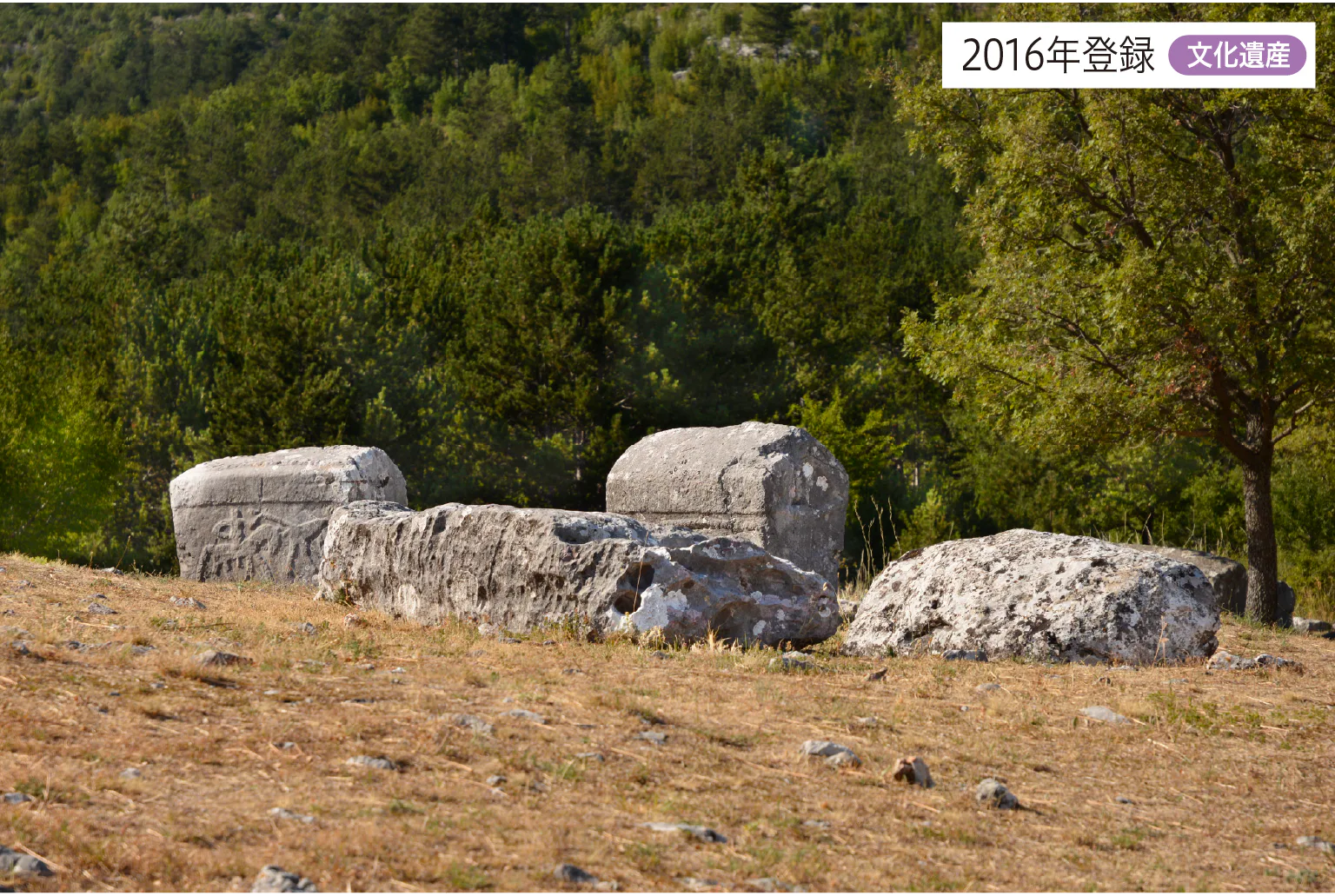 中世墓碑ステチュツィの墓所群の画像