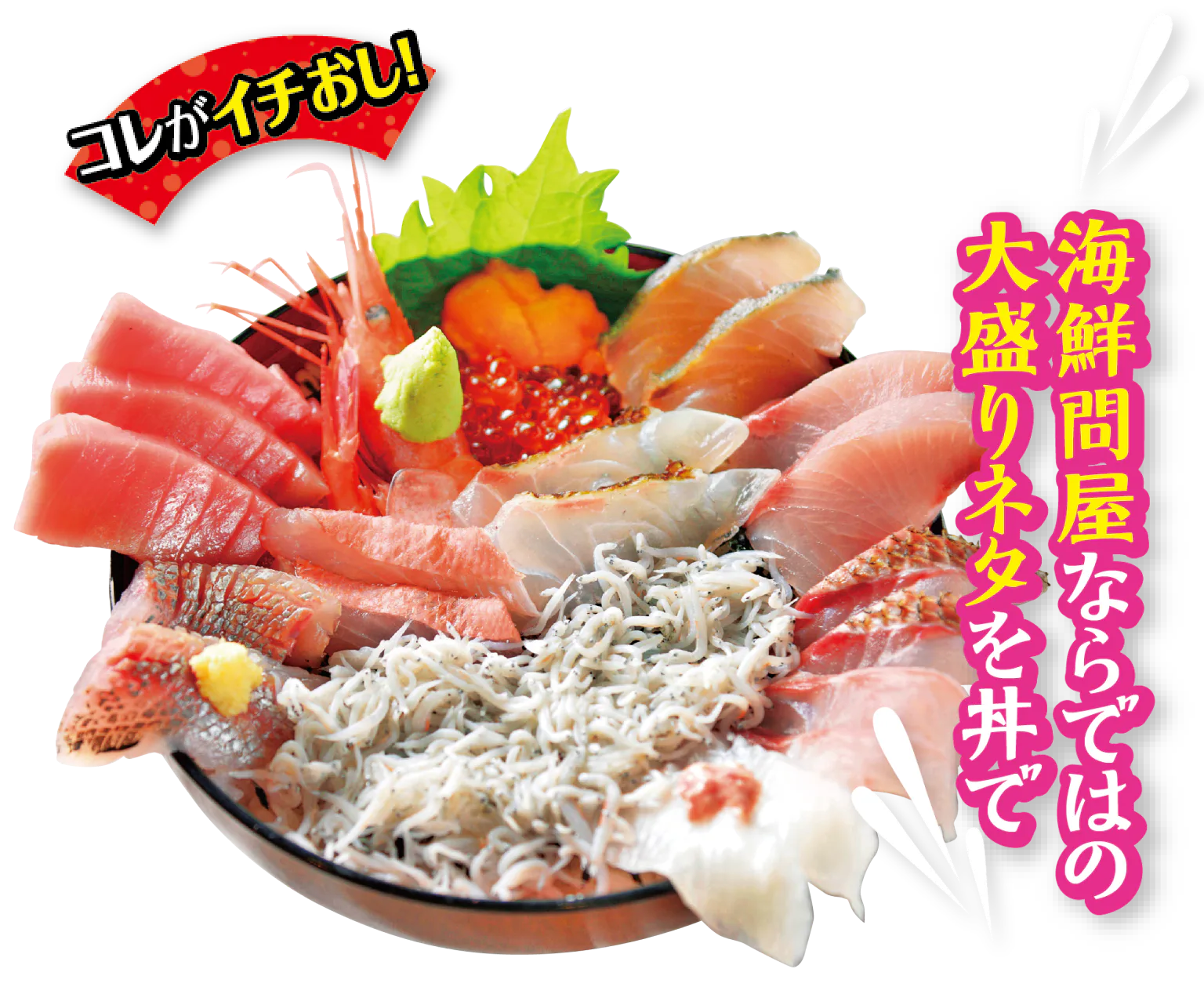 ふじいちのふじいちおまかせ丼画像