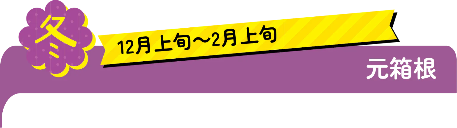 冬　12月上旬〜2月上旬　元箱根