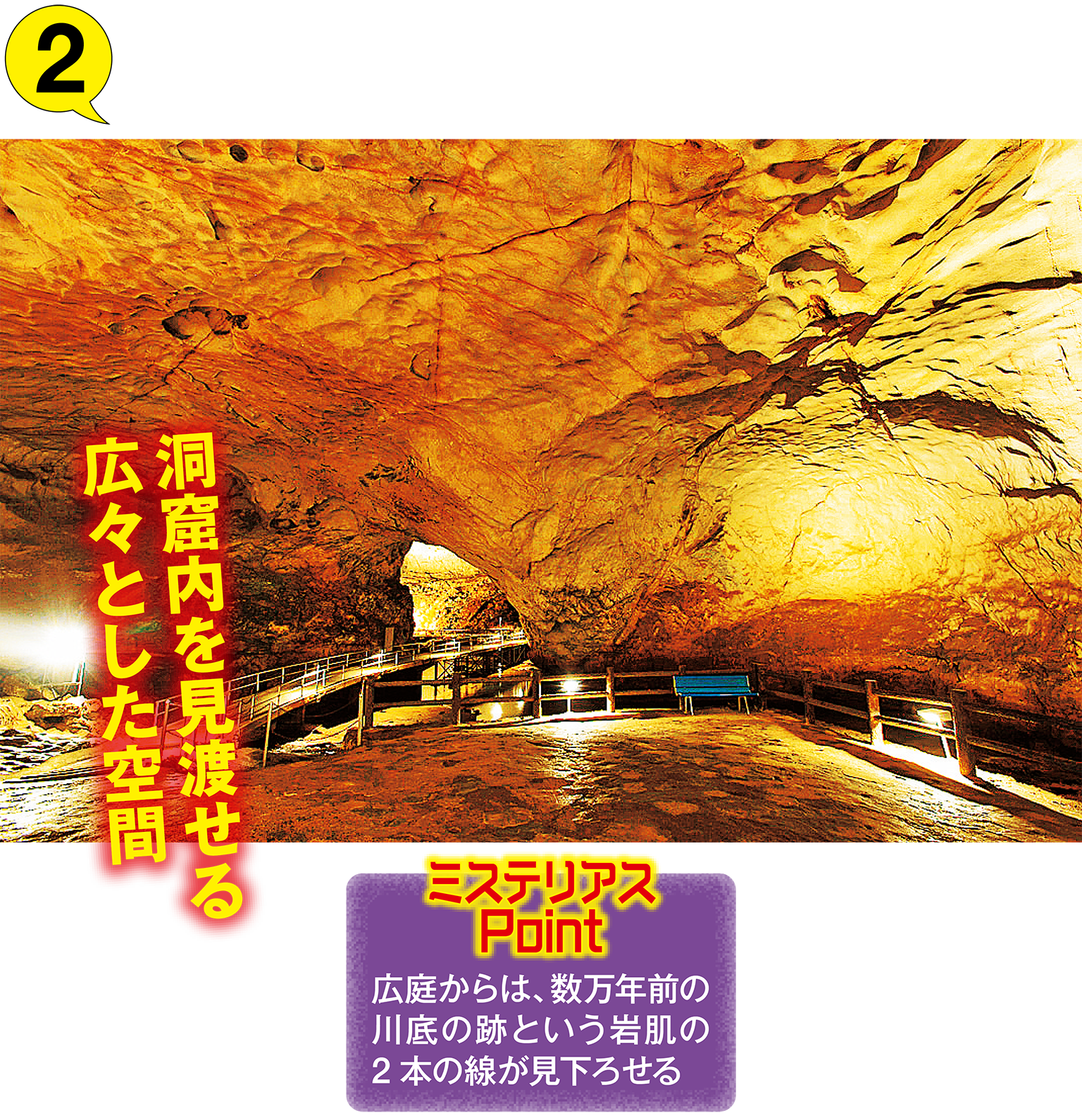 山口県】日本屈指の大鍾乳洞「秋芳洞ミステリーウォーク」必見 山口県】日本屈指の大鍾乳洞「秋芳洞ミステリーウォーク」必見