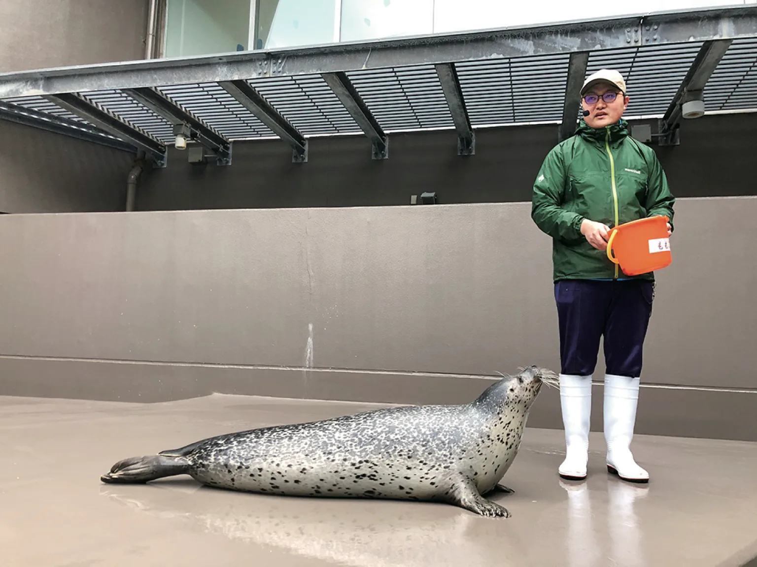ひれあしの時間の画像