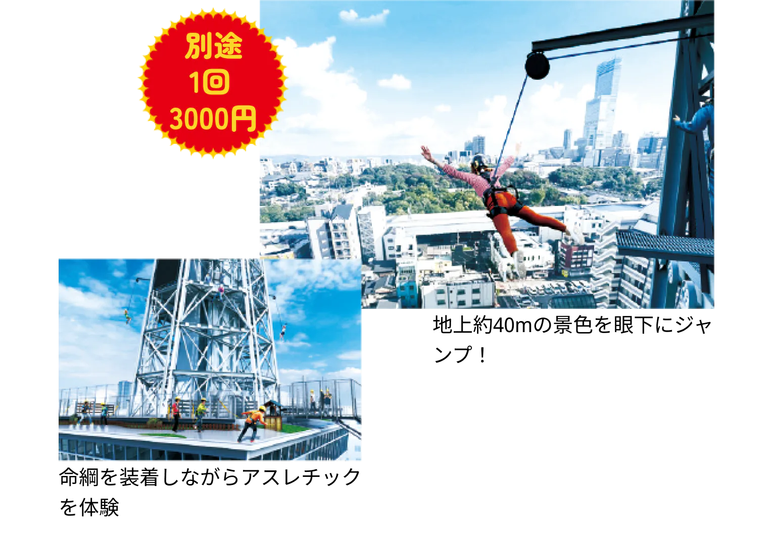 「Dive＆Walk（ダイブアンドウォーク）」の画像