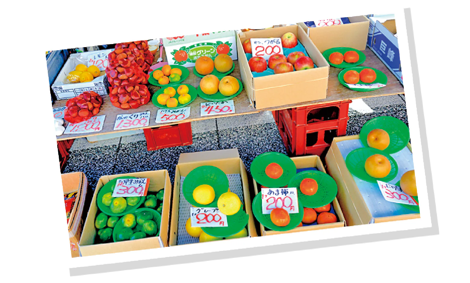 勝浦朝市の画像