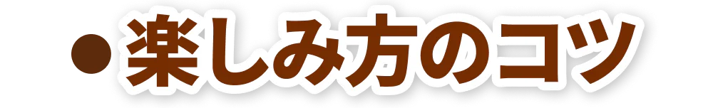 楽しみ方のコツの見出し