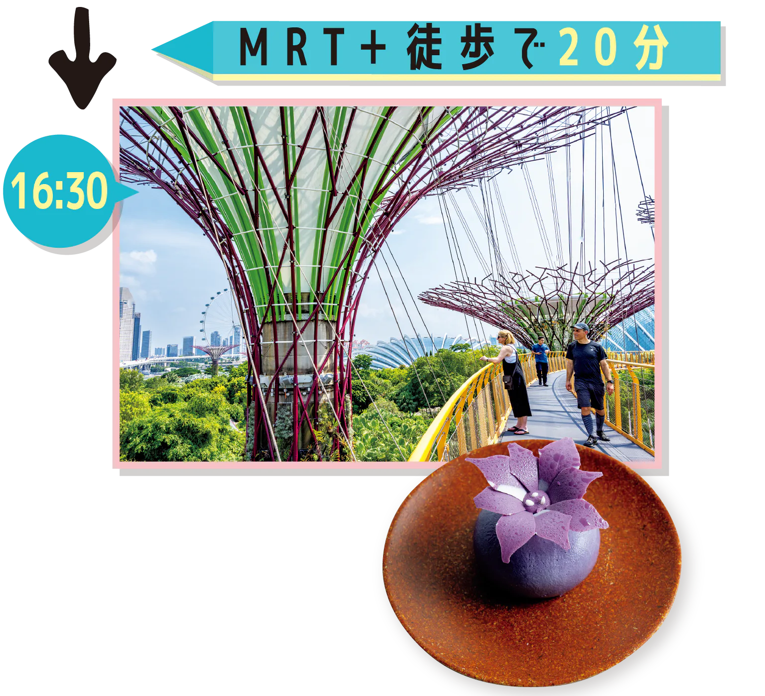まずはスーパーツリーをパチリの画像