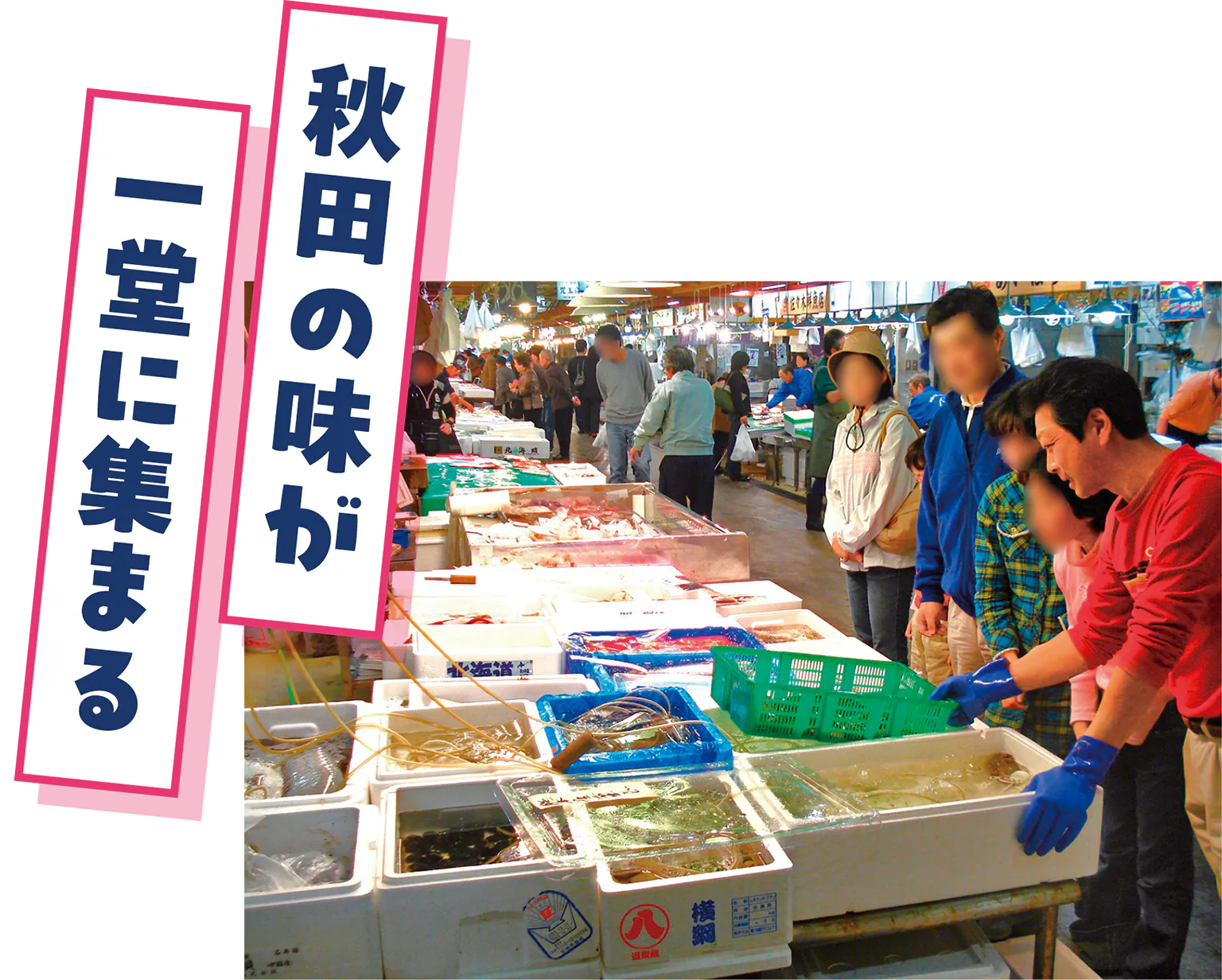 秋田市民市場の画像／秋田の味が一堂に集まるの見出し