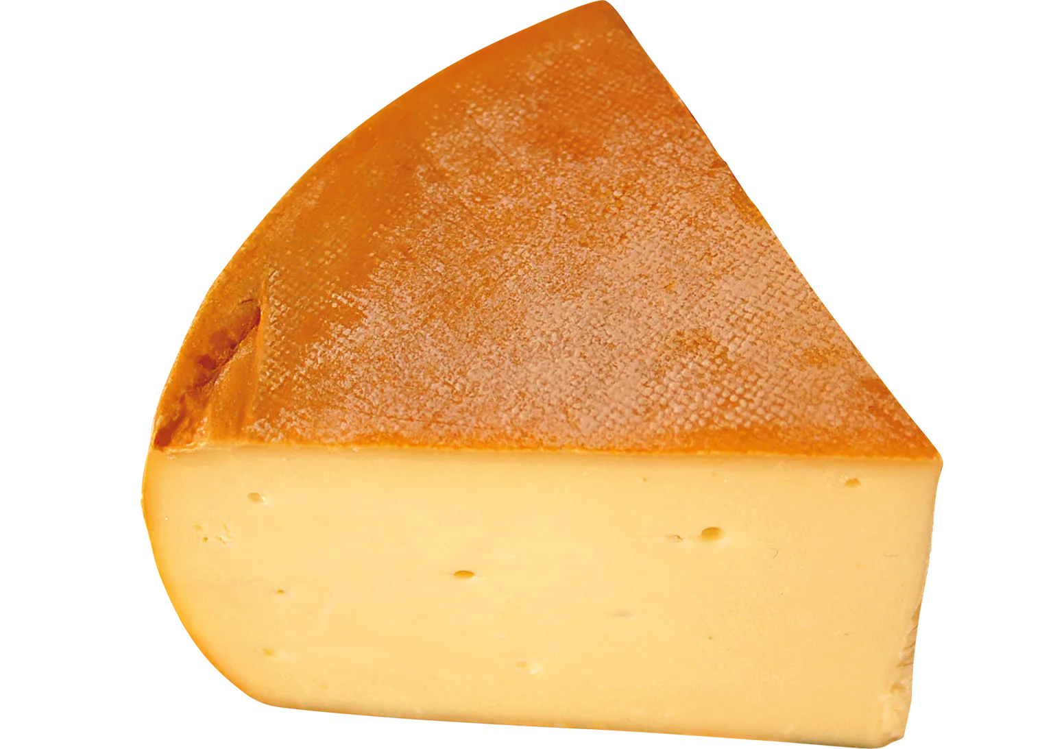 ティルジッターの画像