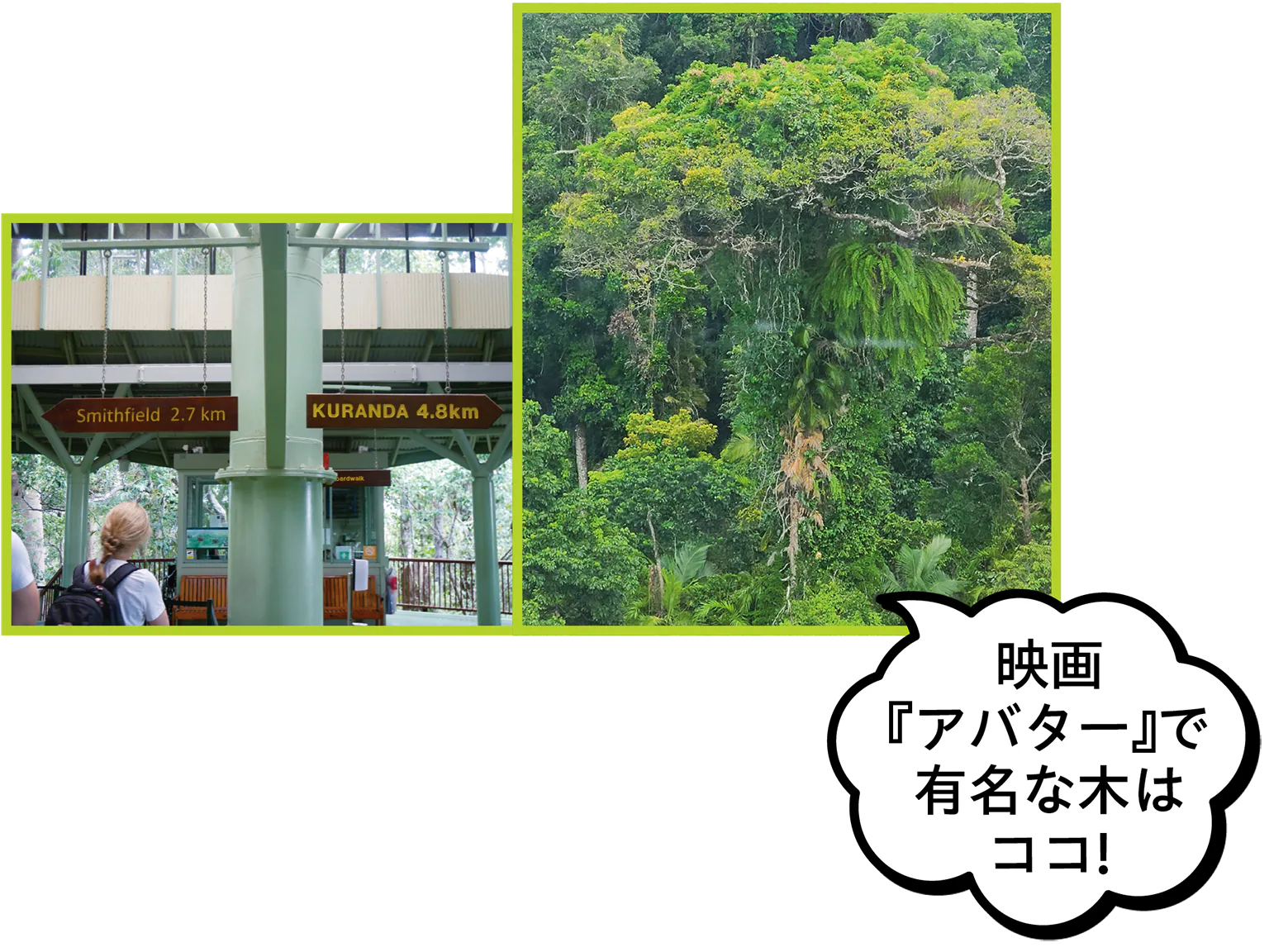レッド・ピーク駅の画像