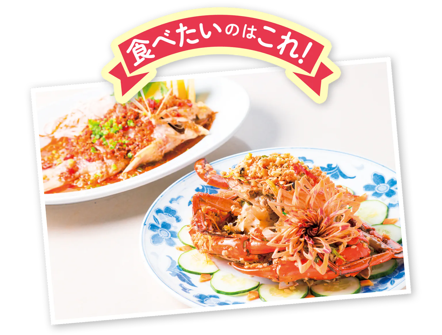 スパイシー・クラブの画像