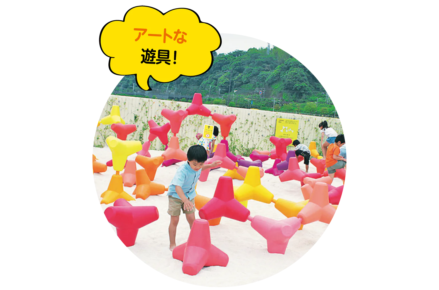 カラフルなサンゴの迷路の写真