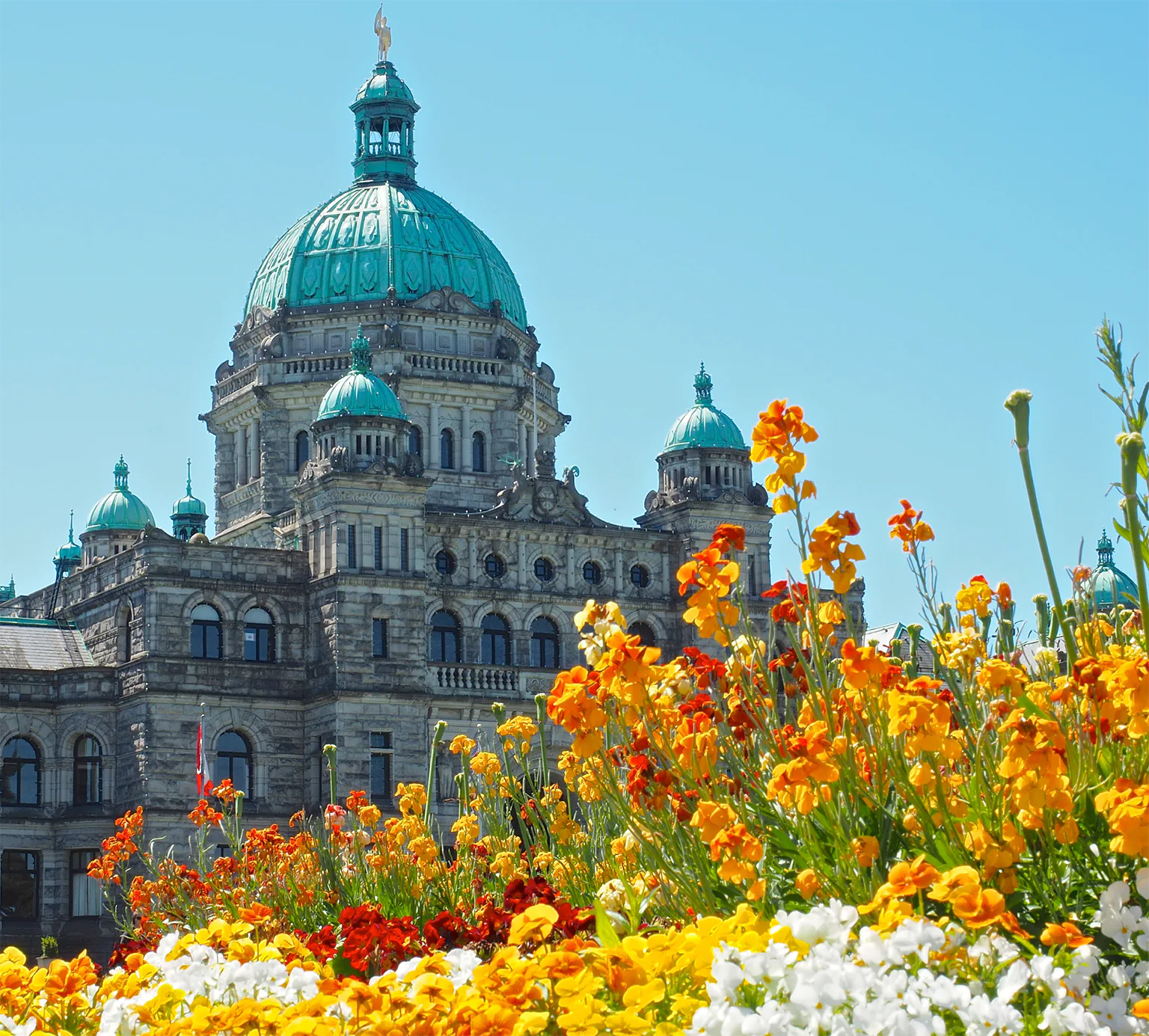 ビクトリアの画像