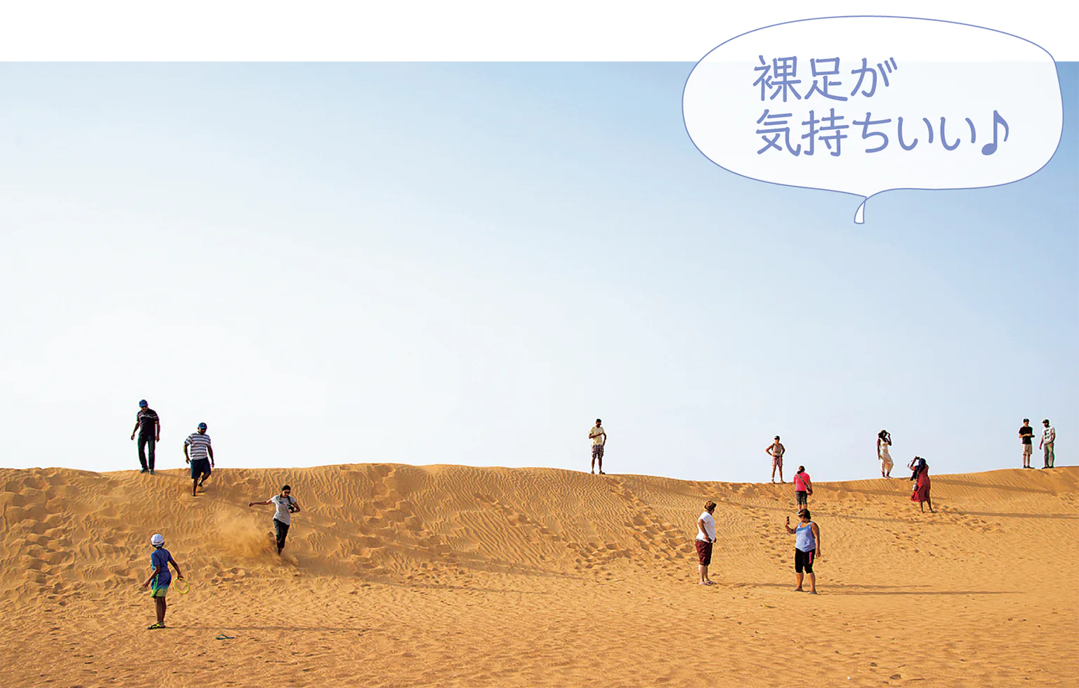 砂漠の画像