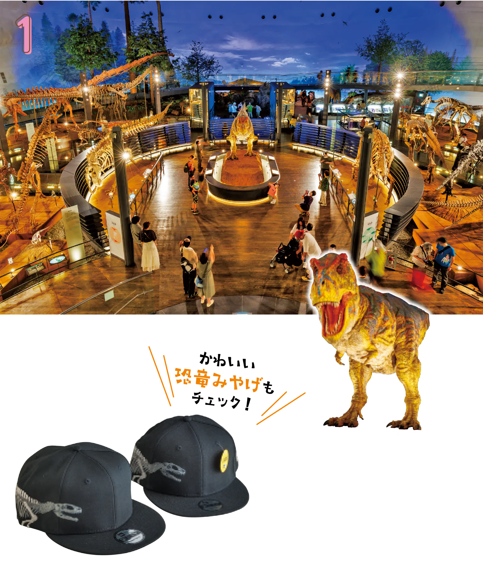 福井県立恐竜博物館で太古の世界に没入するの画像