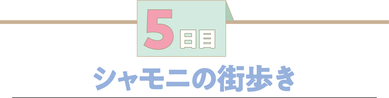 5日目シャモニの街歩き