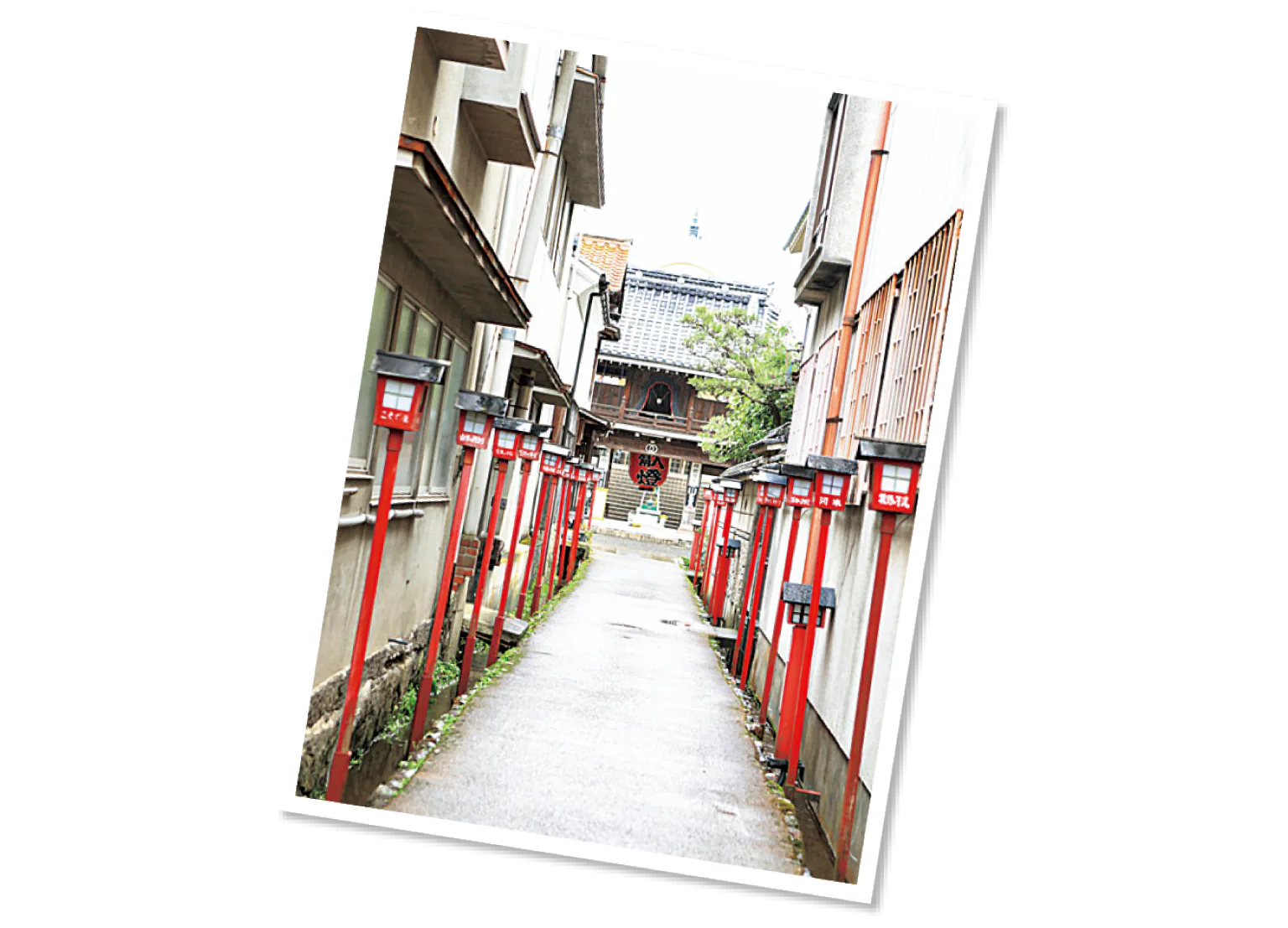 大蓮寺の参道
