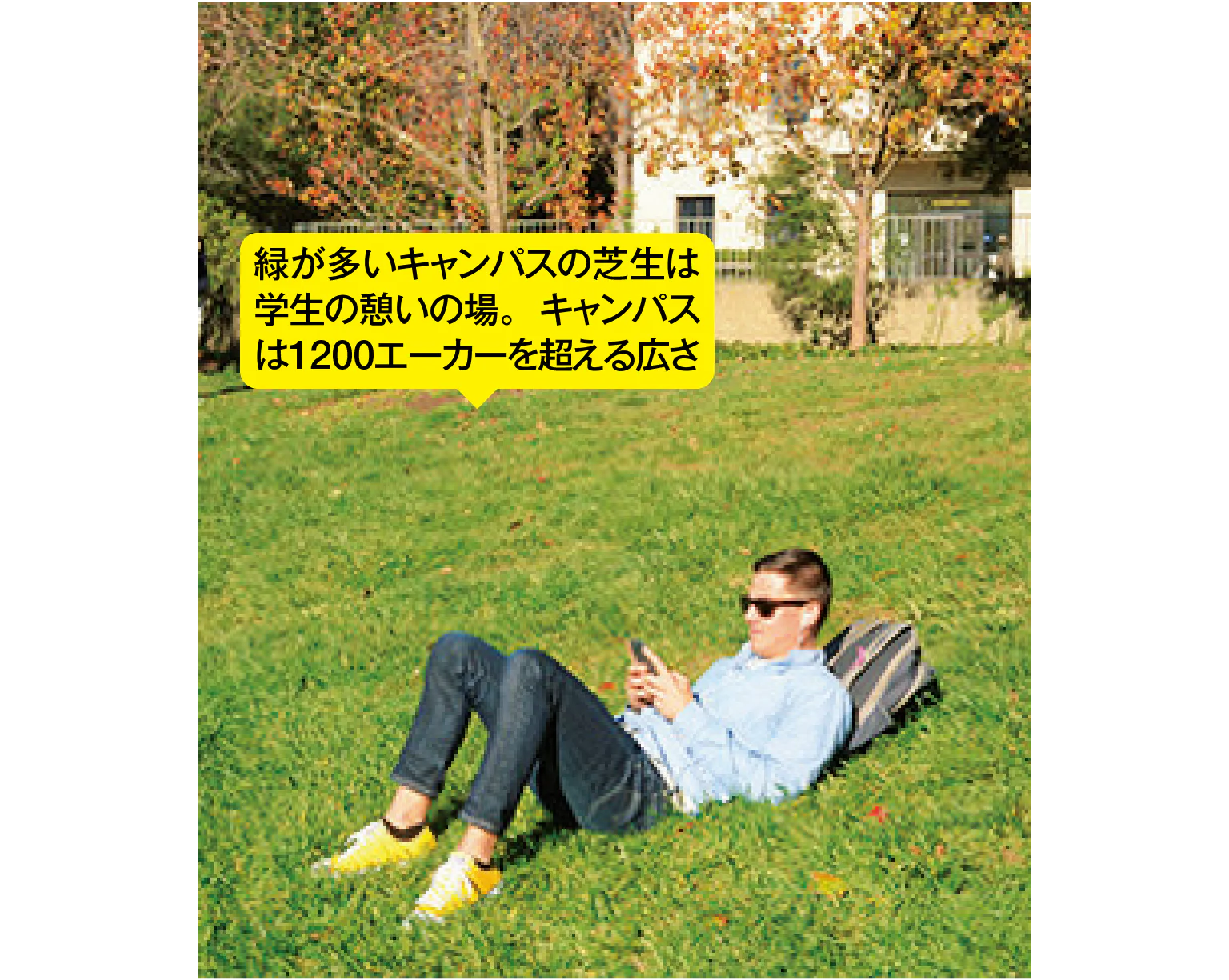 緑が多いキャンパスの芝生は学生の憩いの場。キャンパスは1200エーカーを超える広さ