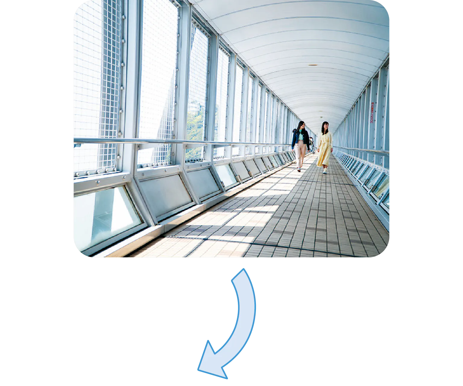 遊歩道の紹介画像