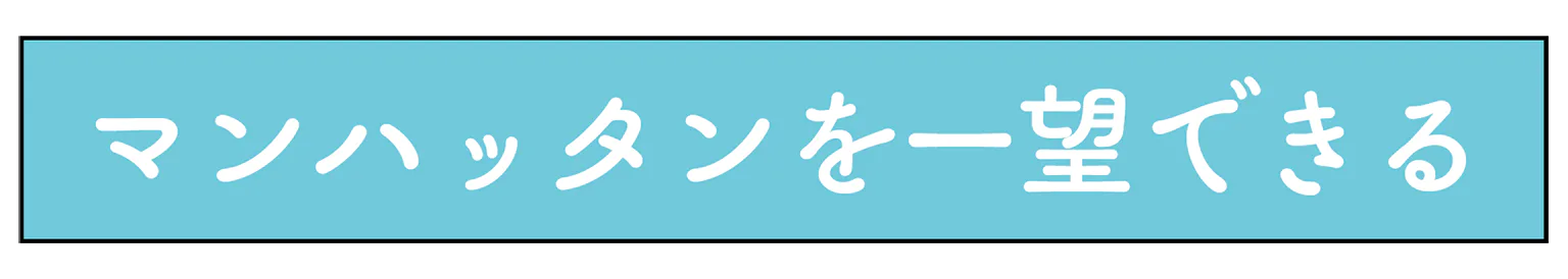 マンハッタンを一望できるの見出し