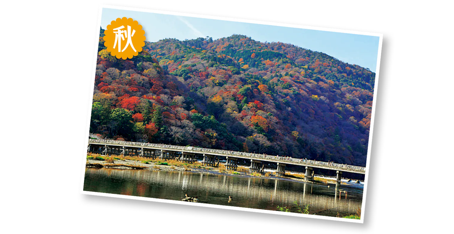 渡月橋の秋の画像