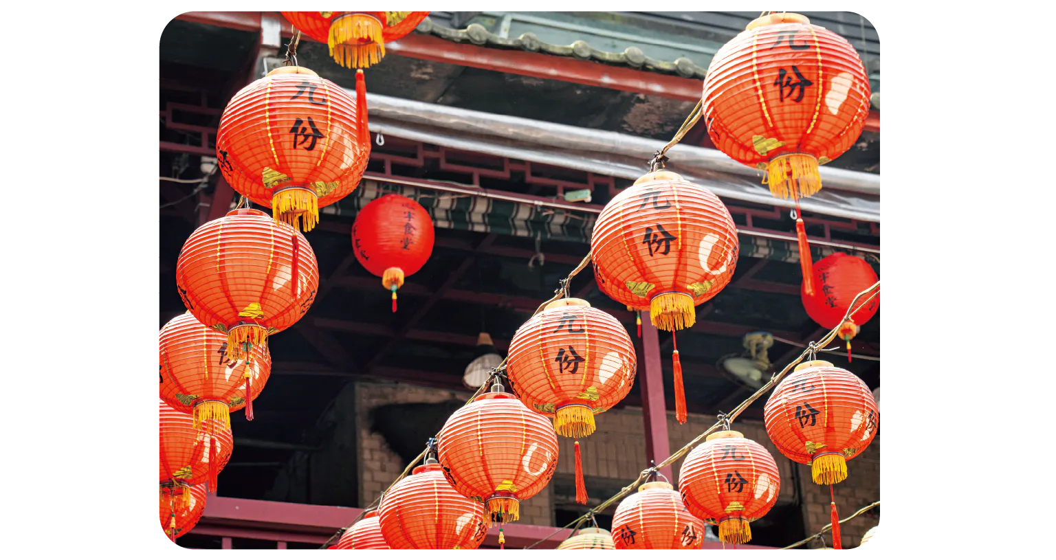 赤提灯の紹介画像