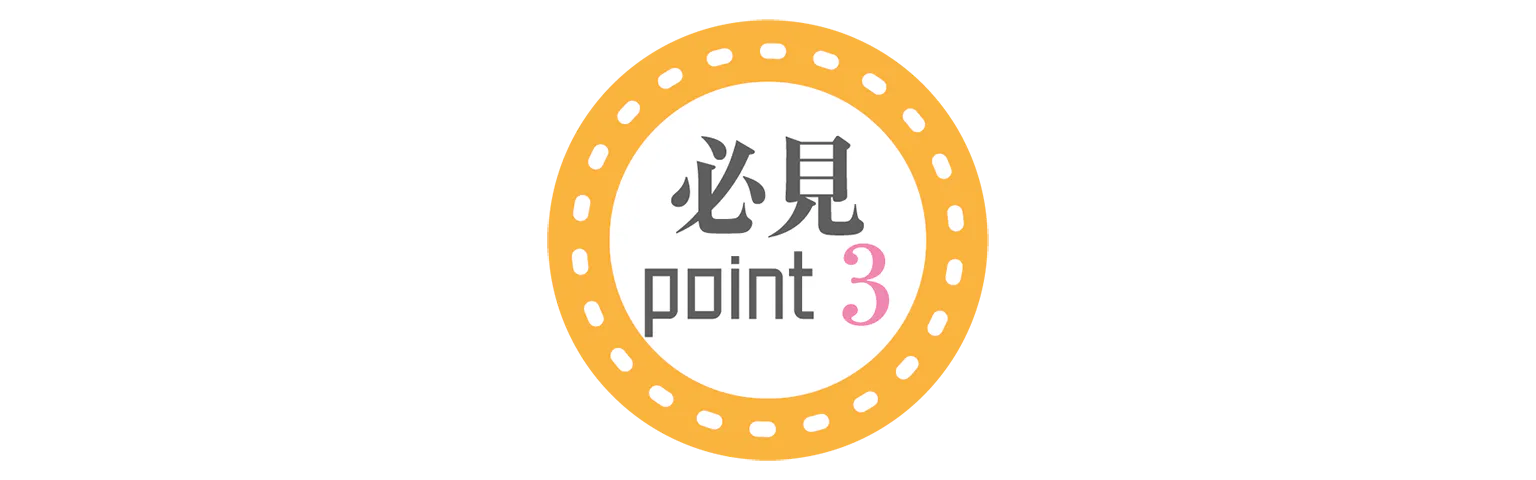 必見point3の見出し