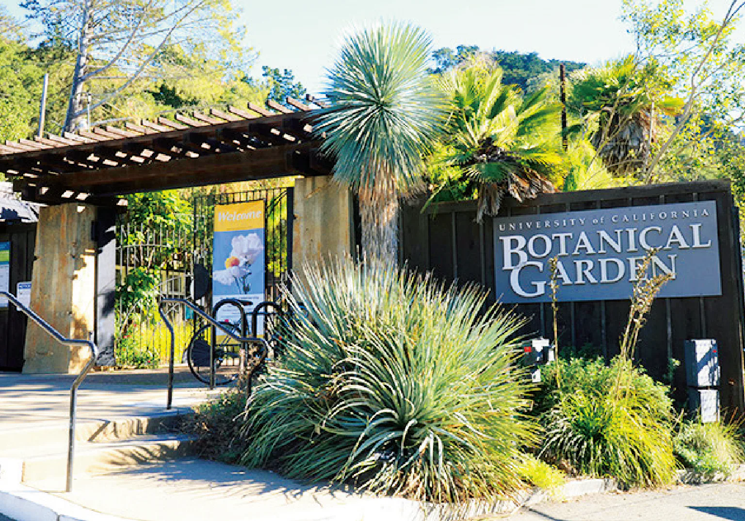 UCボタニカル・ガーデンの画像