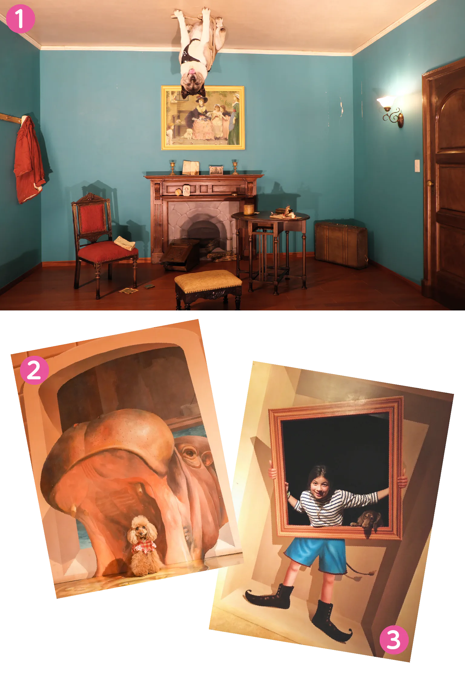 トリックアートミュージアム軽井沢の紹介画像