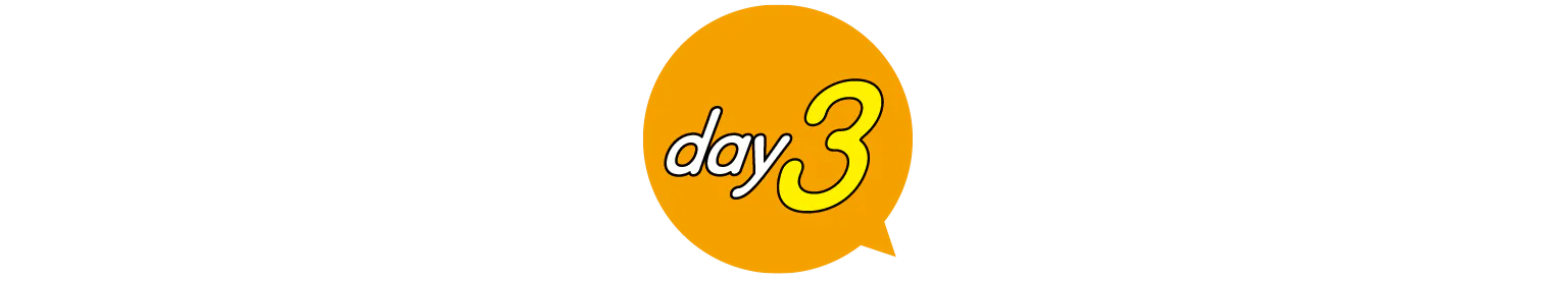 3day