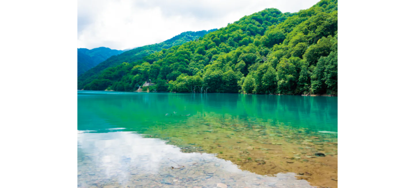 白水湖の画像