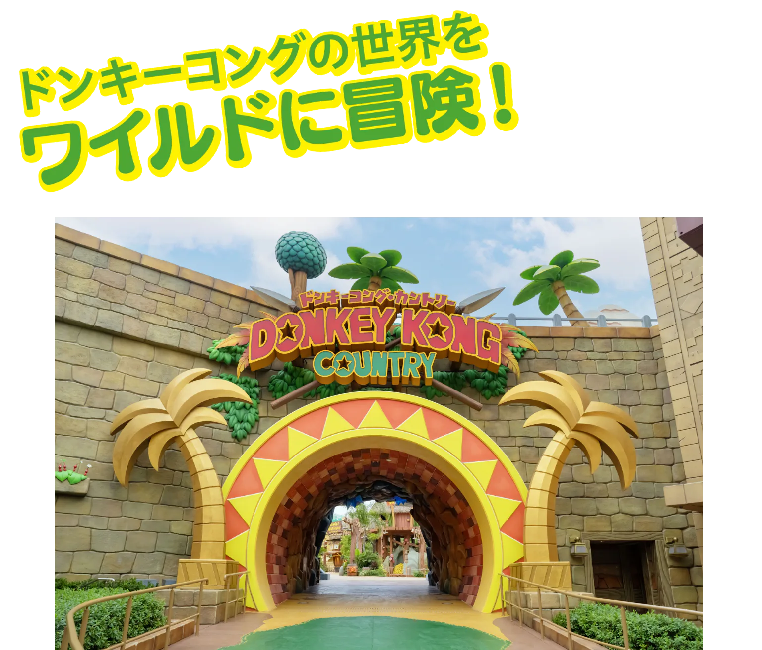 ドンキーコングの世界をワイルドに冒険！
