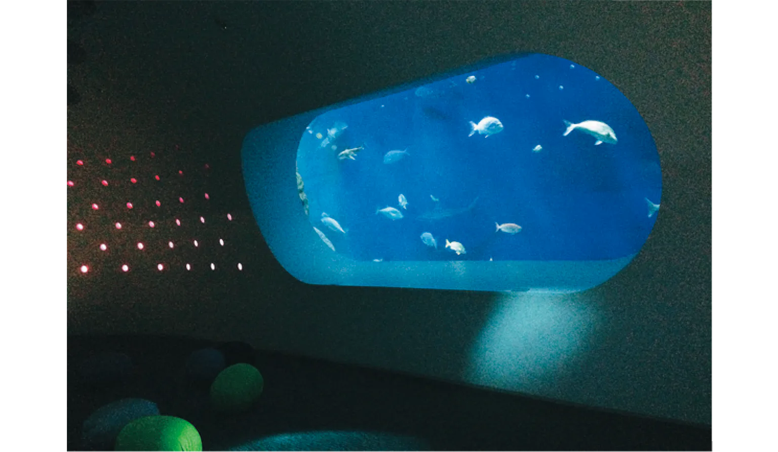 うみたまホールの画像