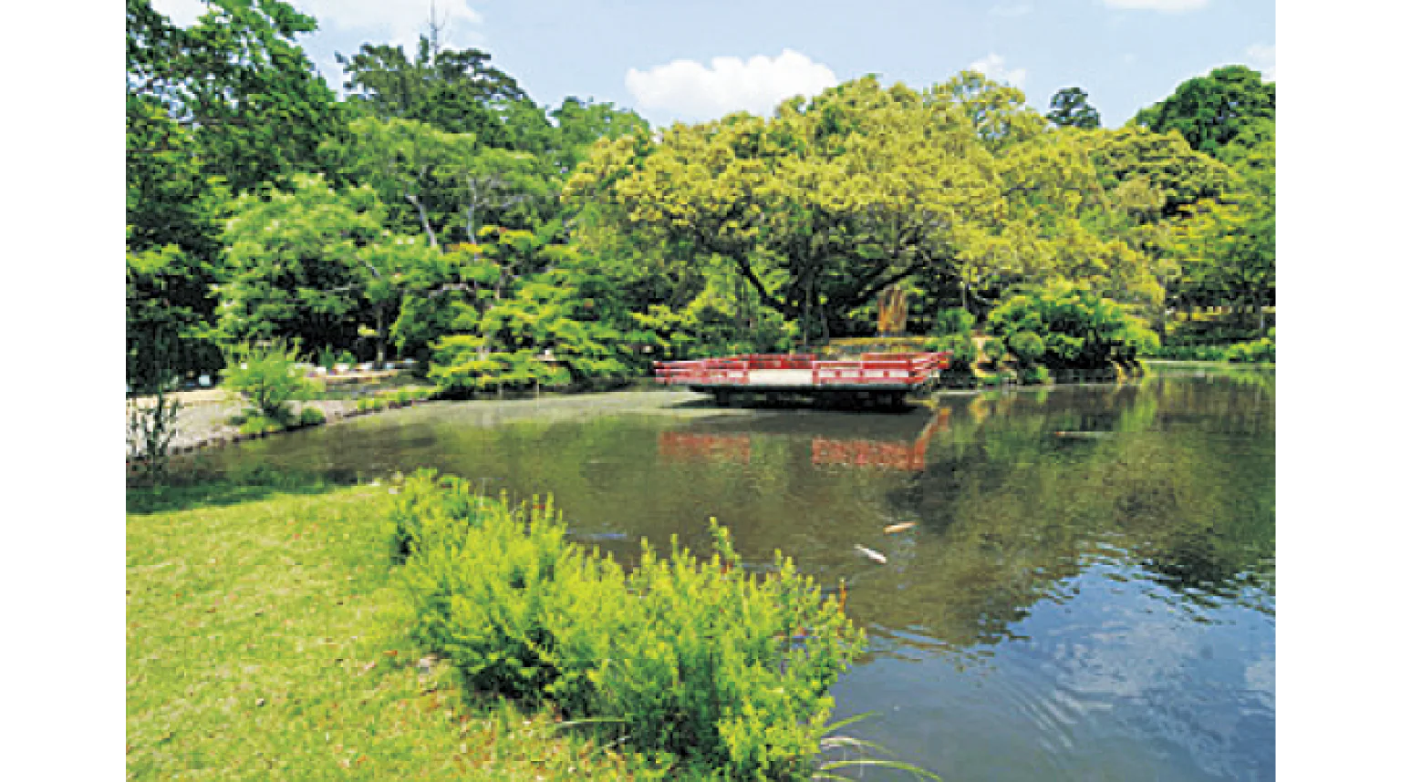 萬葉植物園　園内の画像