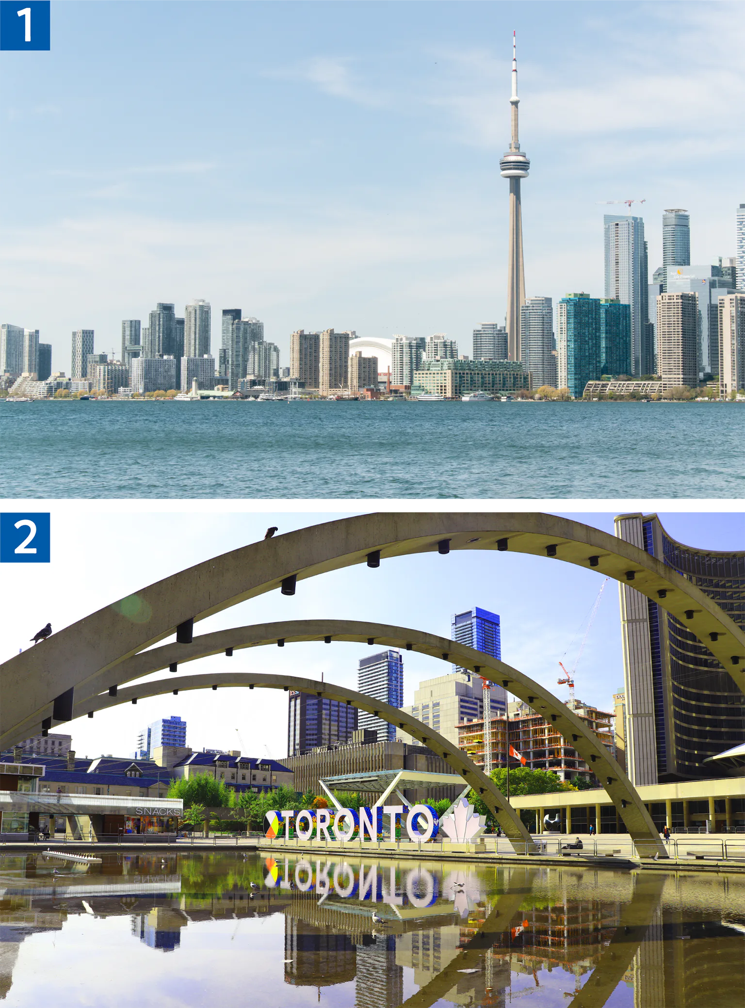 CNタワーと市庁舎前の広場の画像