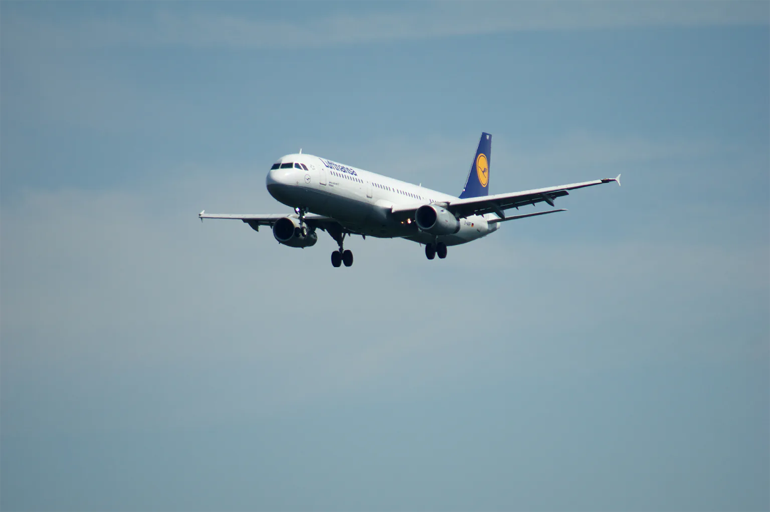 飛行機の画像