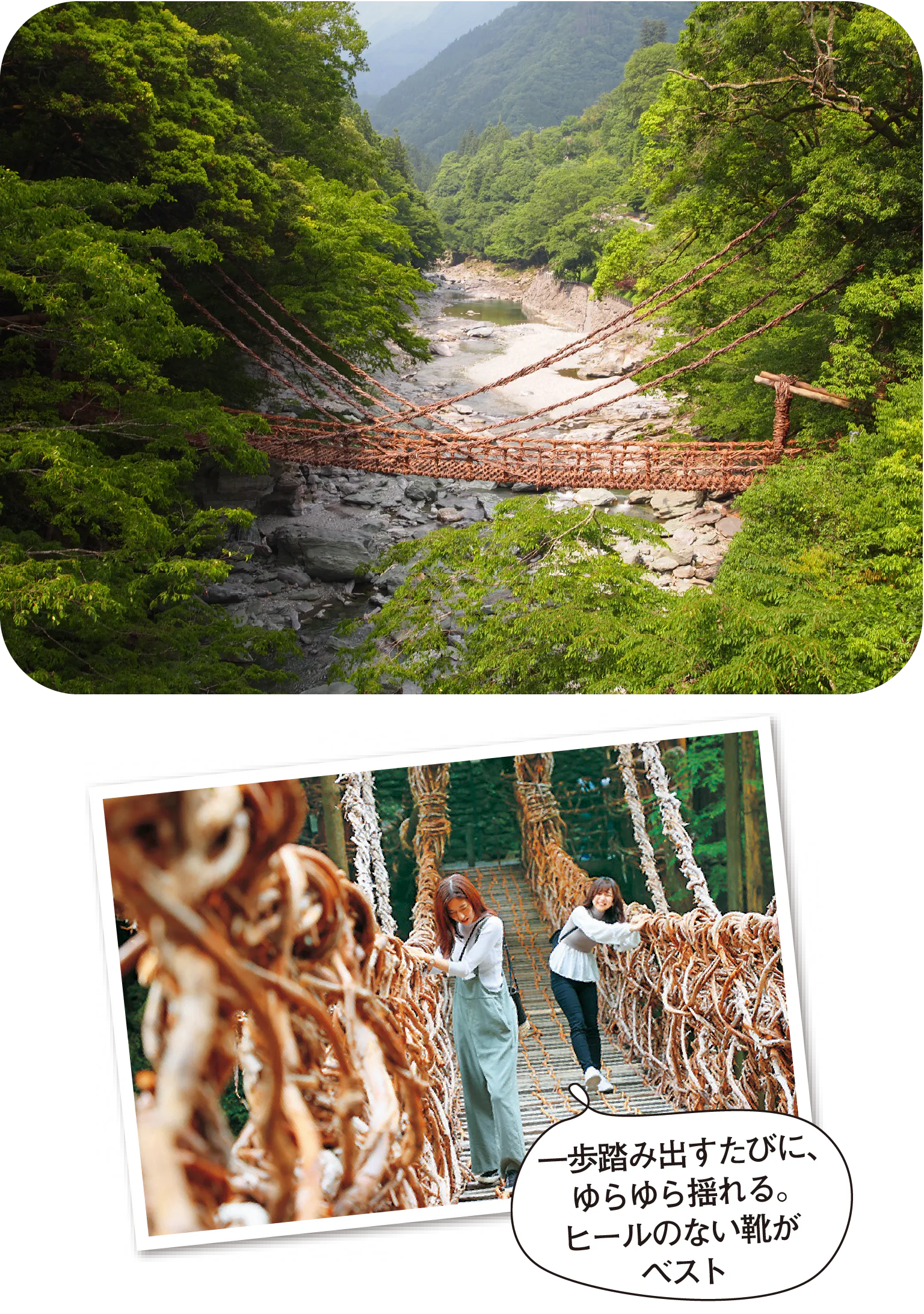 祖谷のかずら橋の紹介画像