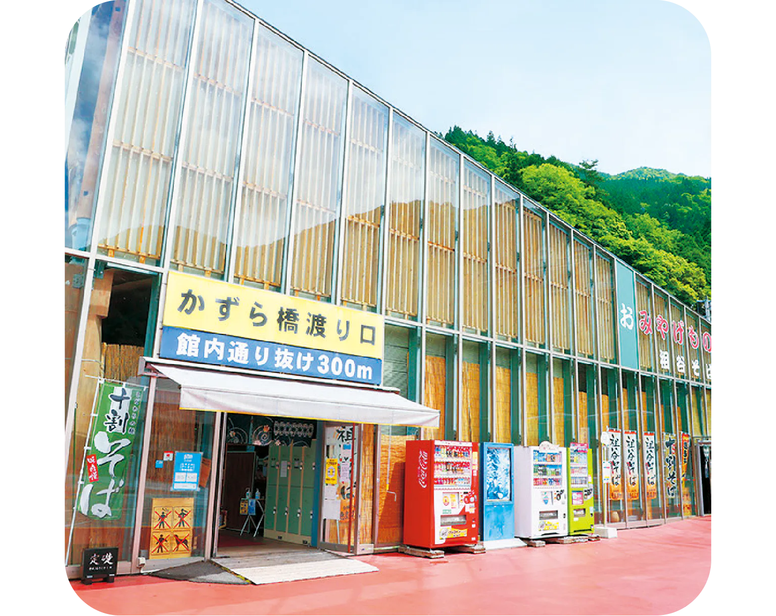 かずら橋夢舞台の外観画像