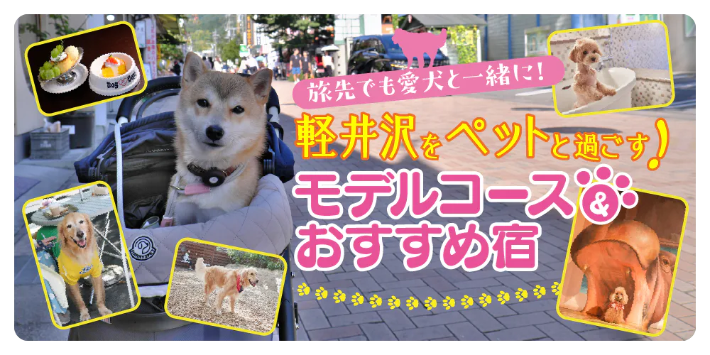 愛犬と軽井沢観光！モデルコースやおすすめスポット、ペットサービス充実の宿・ホテルをピックアップ