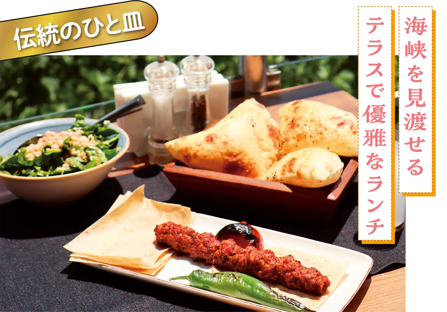 アリ・ケバブの画像