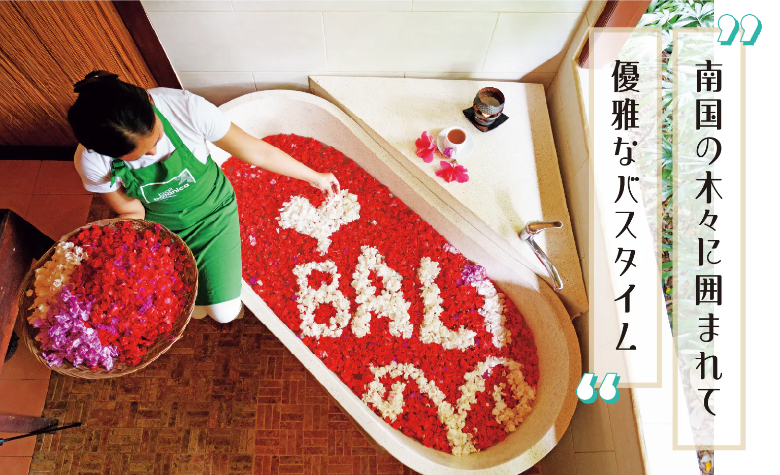 フラワーバスの画像