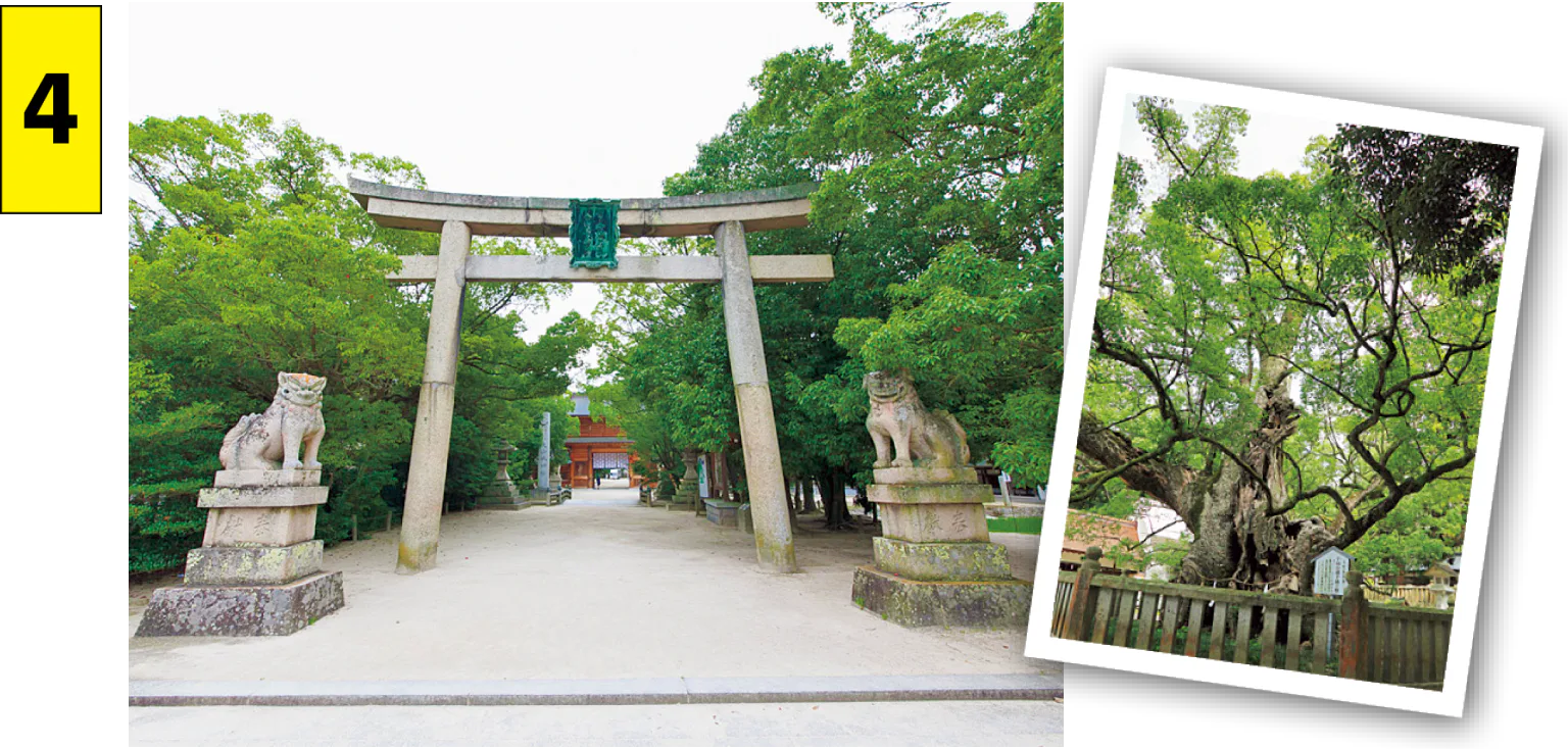 大山祇神社の画像