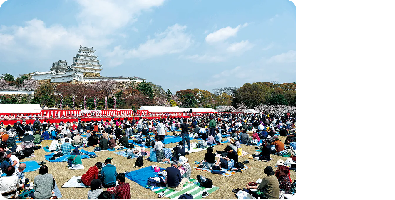 姫路城観桜会の画像