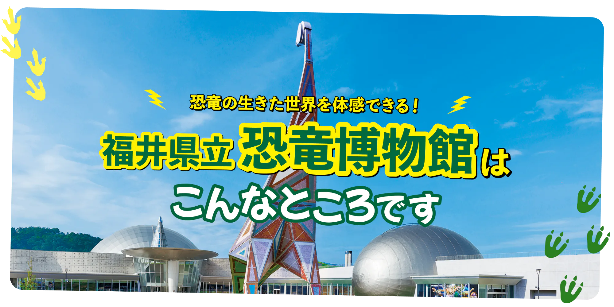 福井県立恐竜博物館の見どころ・楽しみ方・チケットの購入方法