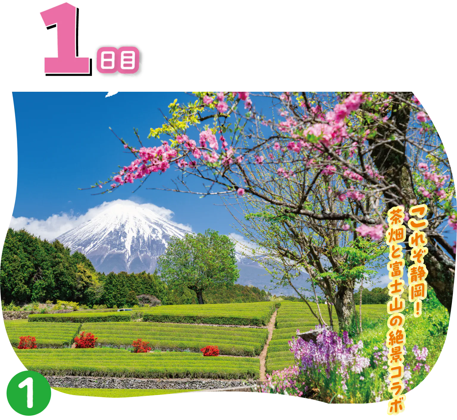 大淵笹場の眺望の画像